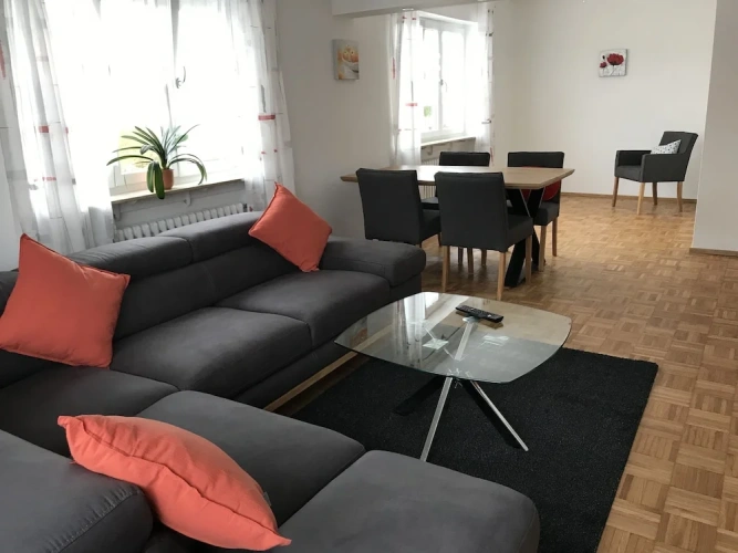 Comfort Apartment