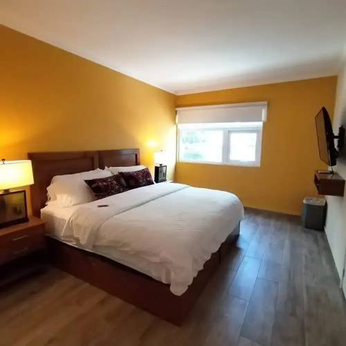 Arquimedes Patio I Luminous 1BR in Polanco