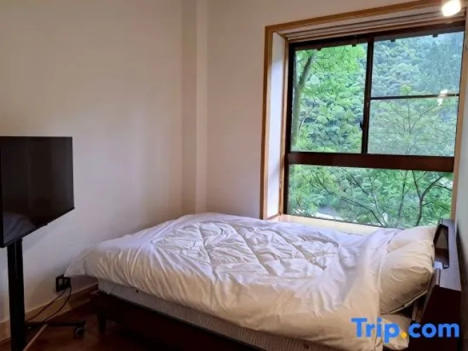 Standard Double room with river view