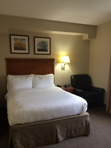 1 Bedroom Suite