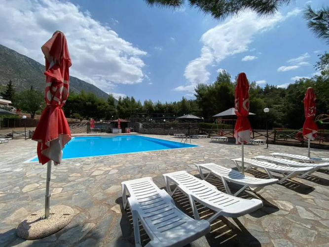 Apollon Camping Delphi