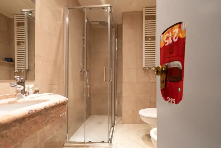 Superior Double room with park view