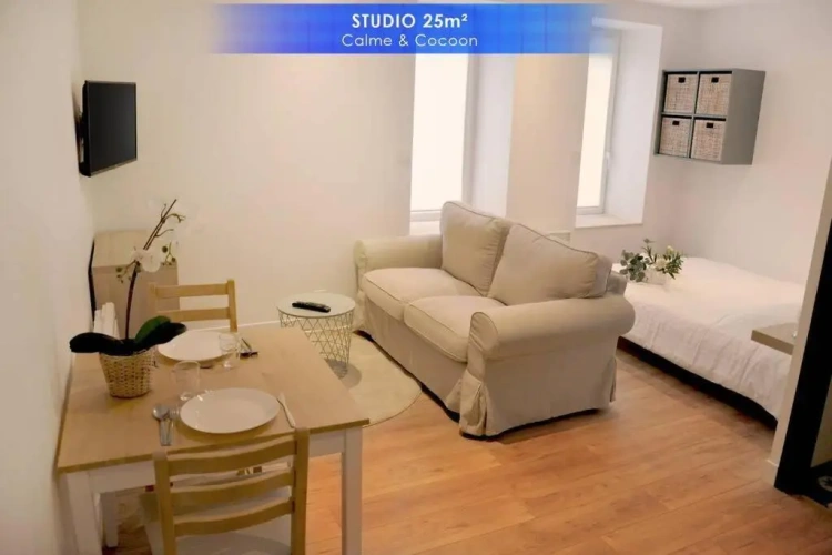 1 Bedroom Apartment