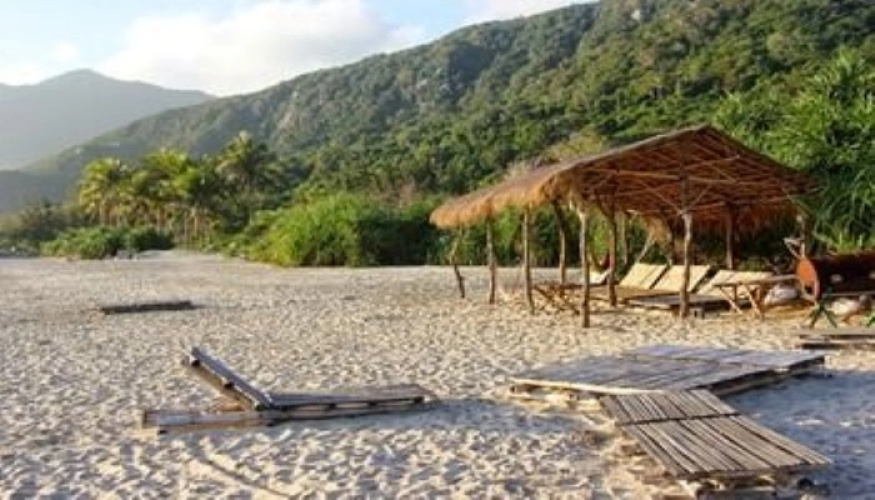 Villa Palm Breeze