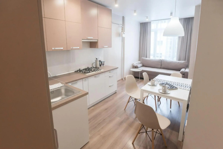 Scandinavian apartment Elegant