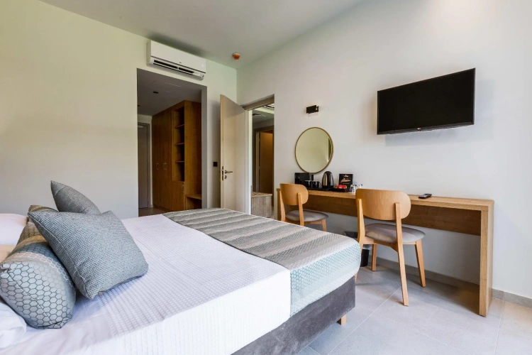 Standard Double room with pool view