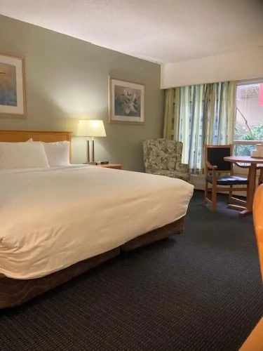 Business Double room