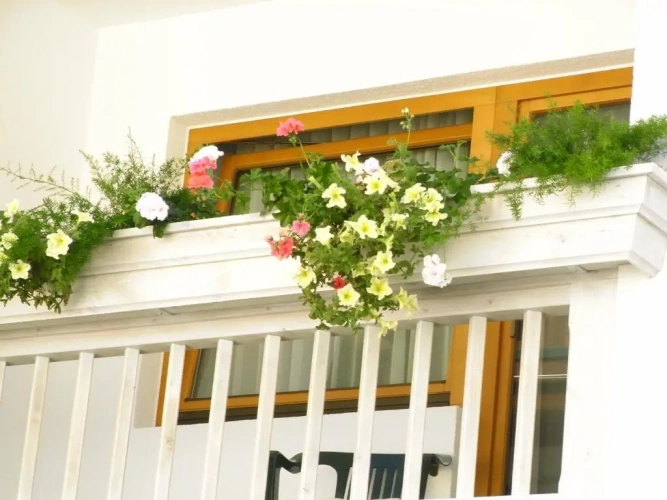 1 Bedroom Apartment with balcony