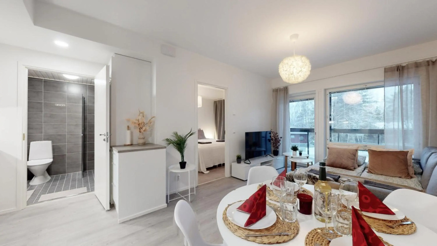 Apartment Scandinavia IV