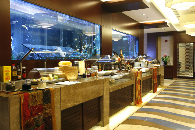 Oceanic Khorfakkan Resort & Spa photo 31