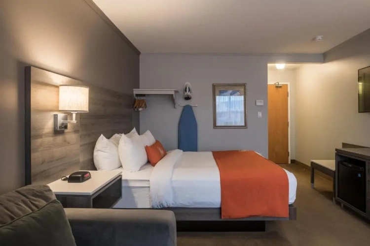 Standard Double Basement room