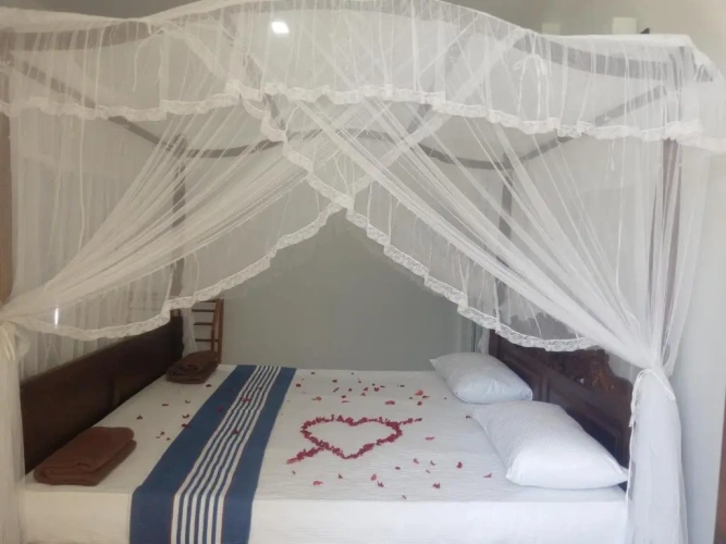 Deluxe Double room with balcony and with view