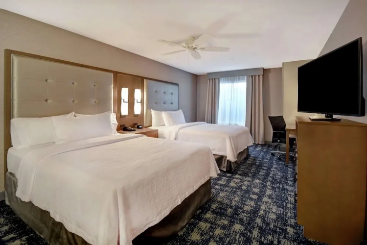 1 Bedroom Suite
