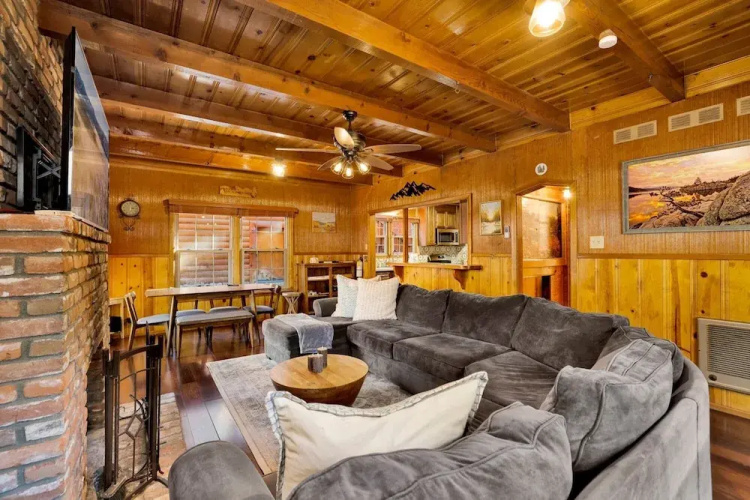 Silvertip Pines #2335
