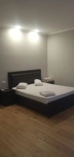 Фотография номера гостиницы Hotel Sachveno