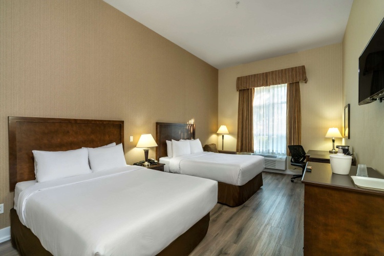 Comfort Inn & Suites Surrey Hotel photo 8