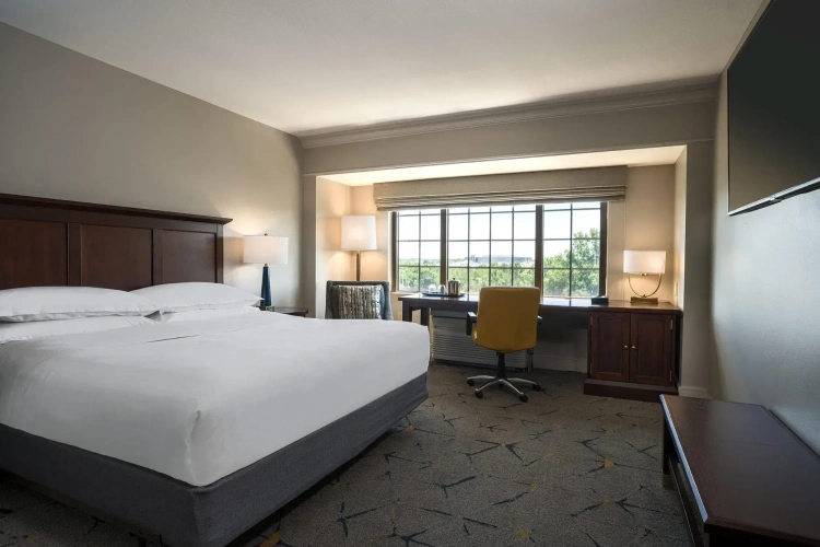 Standard Double Club room with garden view