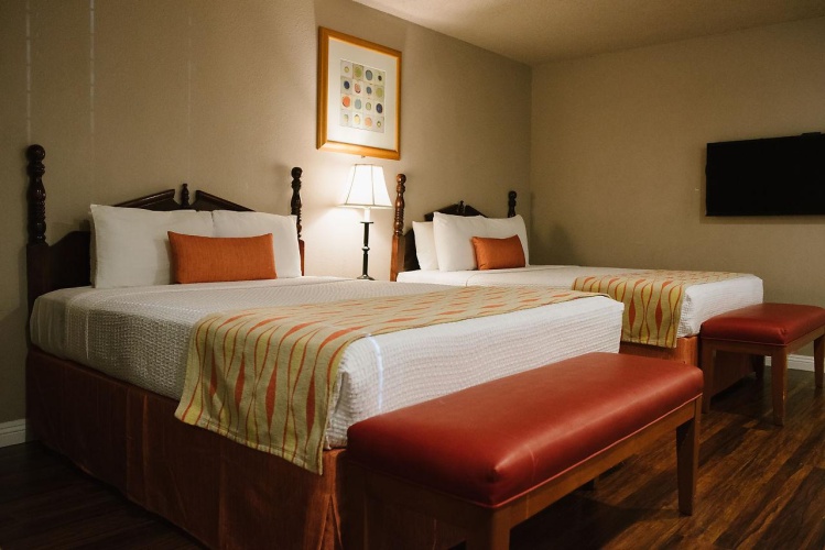 Quadruple Suite