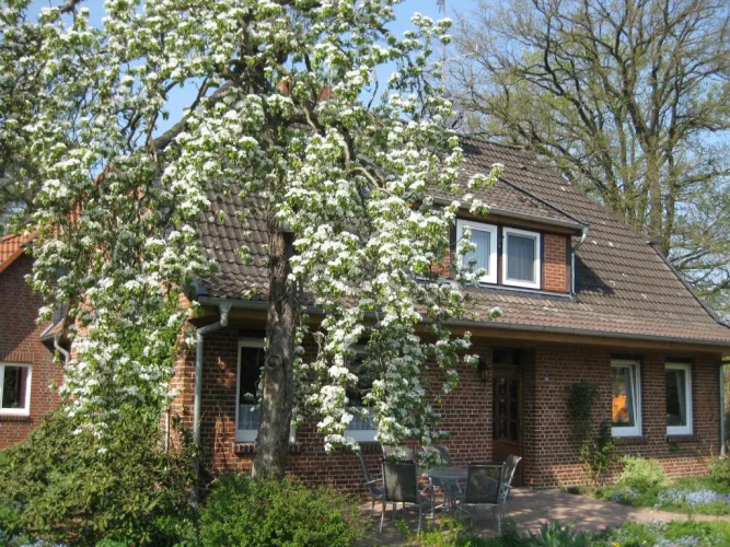 Ferienwohnung Ulrike Narjes