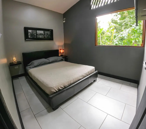 Green Jungle House