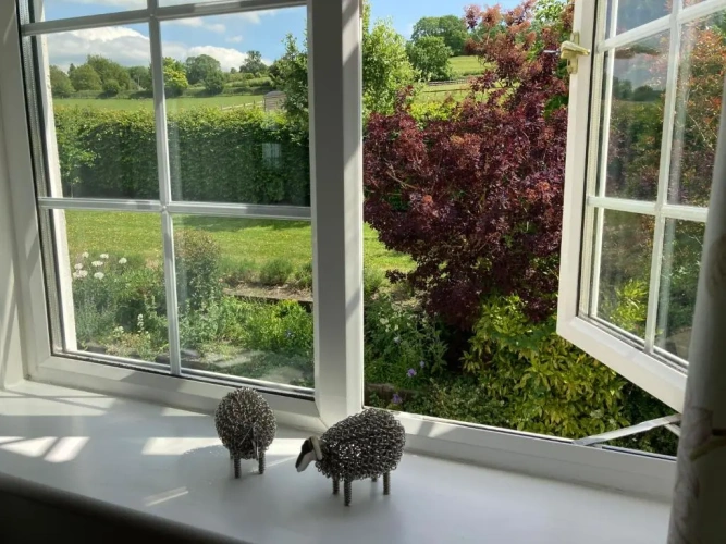 Deluxe Double room with view