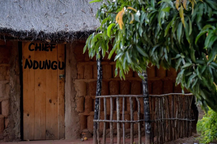 Zinga Backpackers