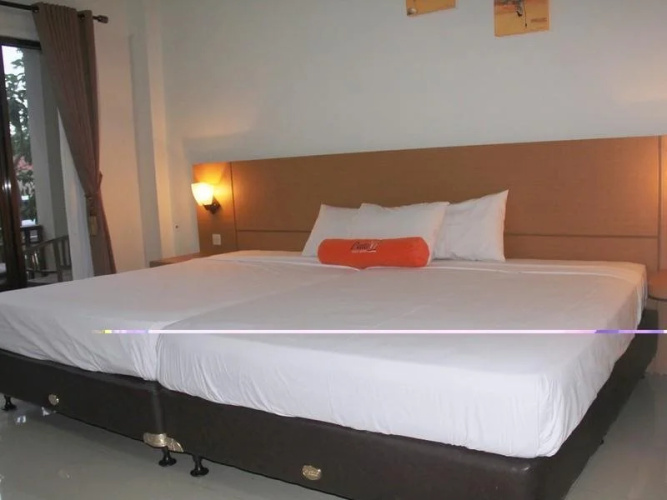 Hotel Paluvi