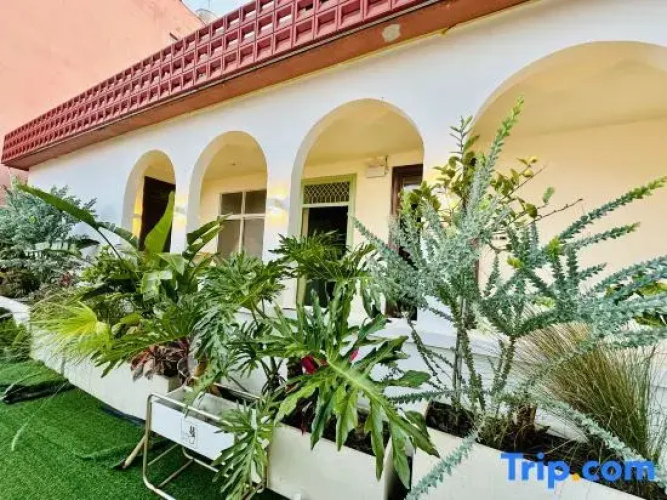 Mountain Pool and Cloud Realm Homestay Hotel