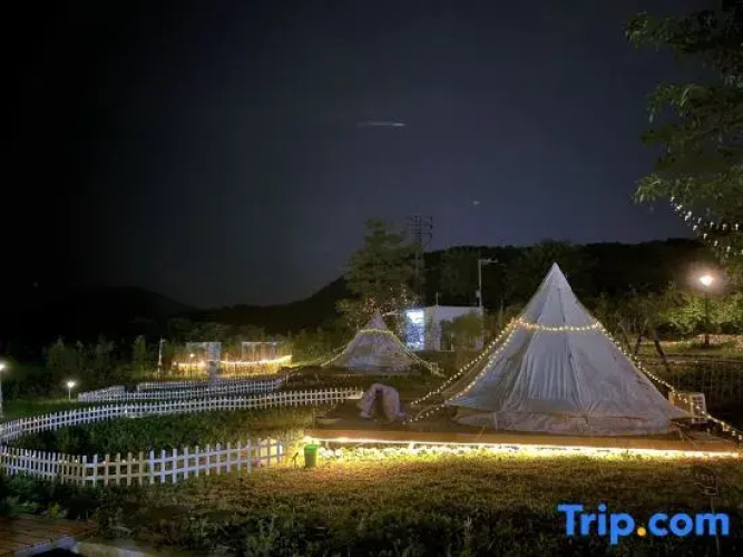Sky Paddy Field Camp