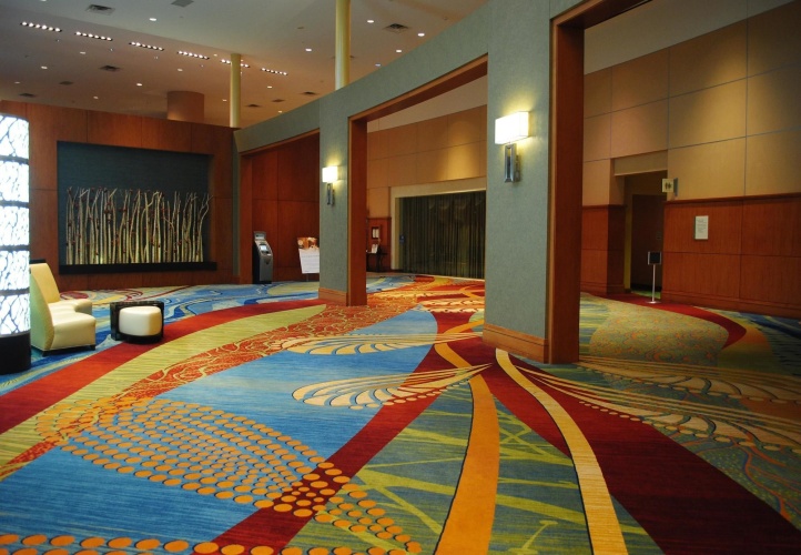 The Woodlands Waterway Marriott Hotel & Convention photo 18