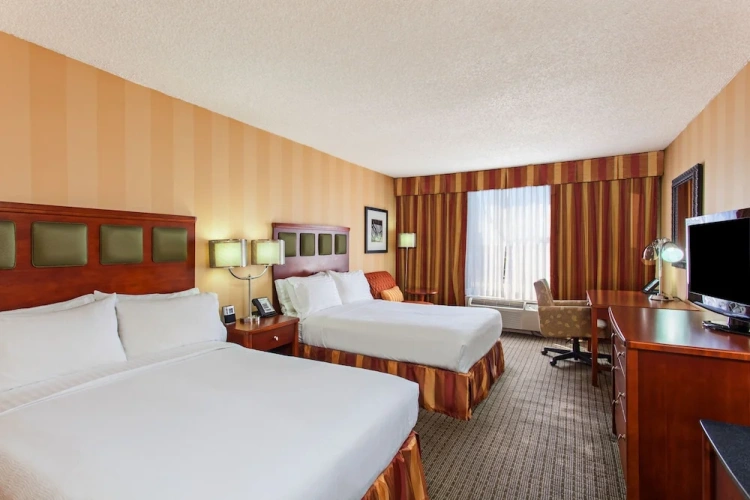 Premium Quadruple room