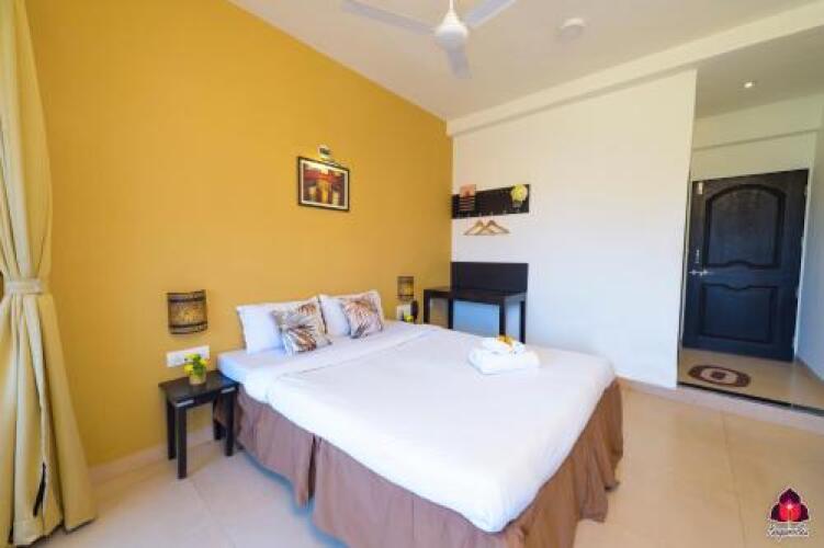 BougainvilleaOver view