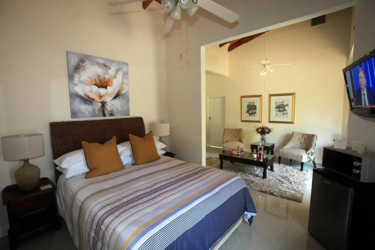Deluxe Suite