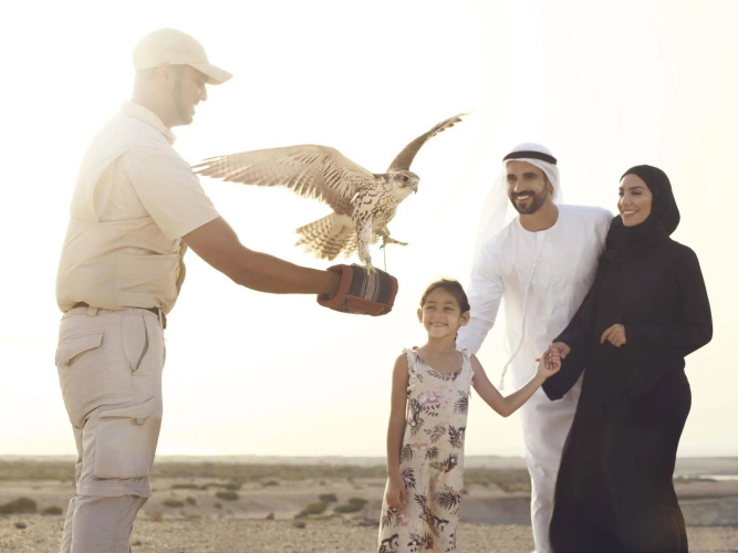 Anantara Desert Islands Resort & Spa photo 29