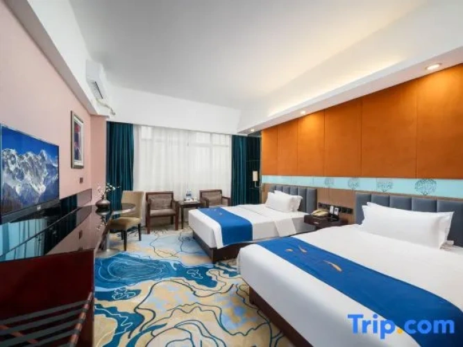 Deluxe Twin room with city view