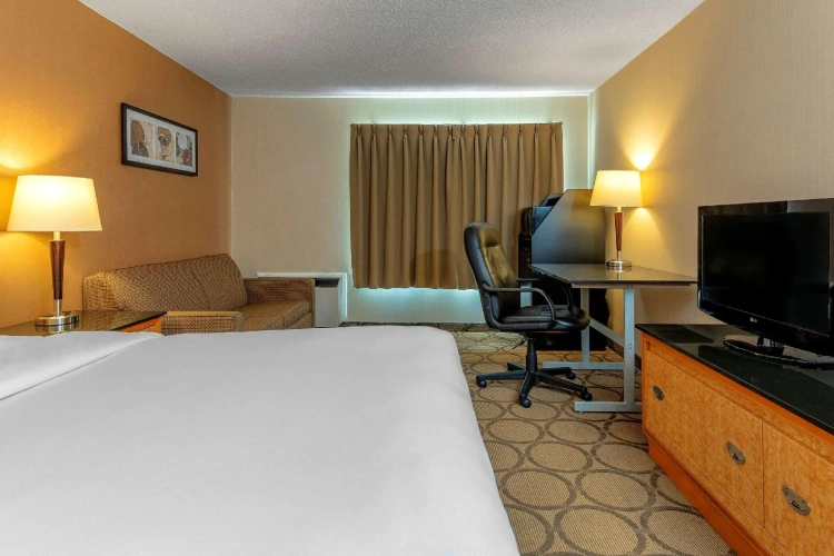 Standard Double Basement room