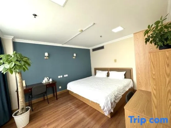 Comfort Suite