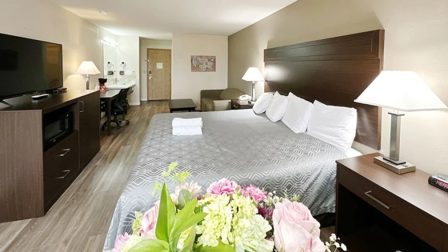 Comfort Single room