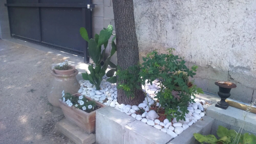 B&B Chez Elles 2