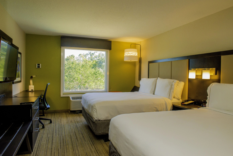 Holiday Inn Express & Suites St. Petersburg North (I-275) photo 6