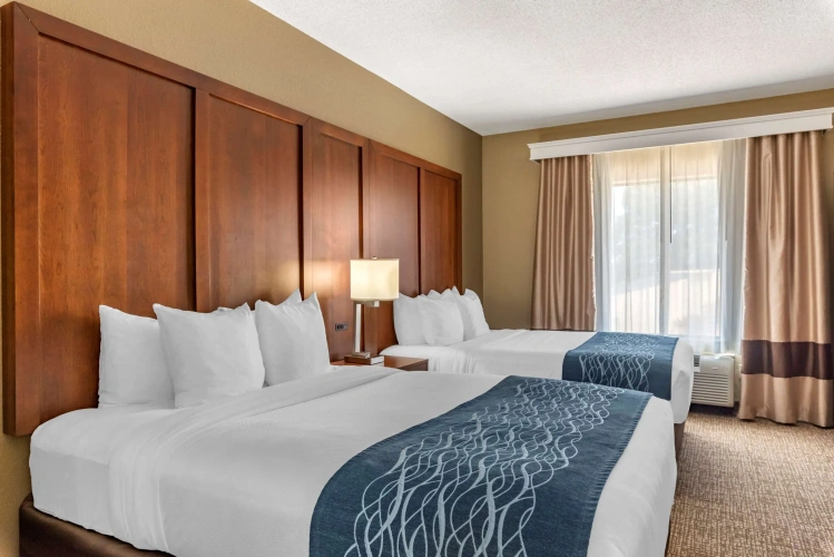 Quadruple Suite
