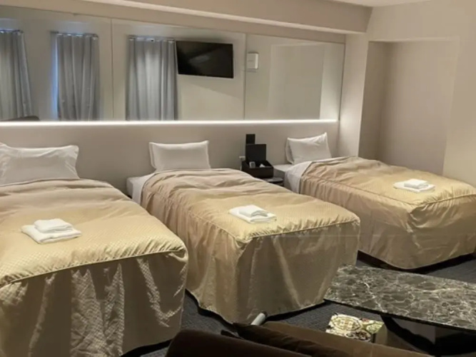 HOTEL LiVEMAX Nara Ekimae