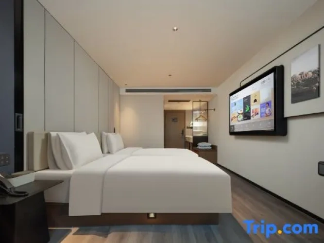 Standard Twin Family room