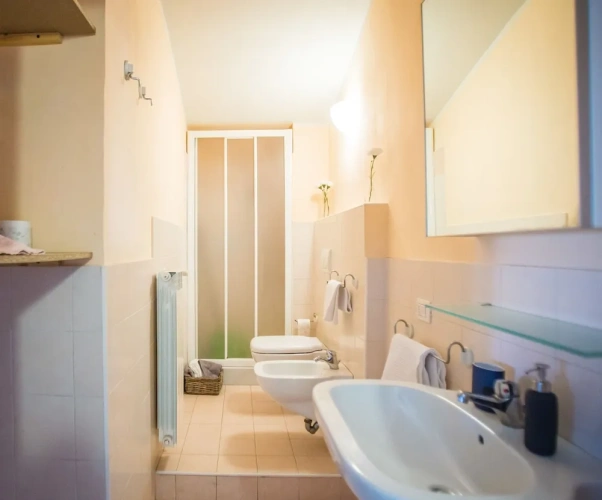 1 Bedroom Classic Apartment