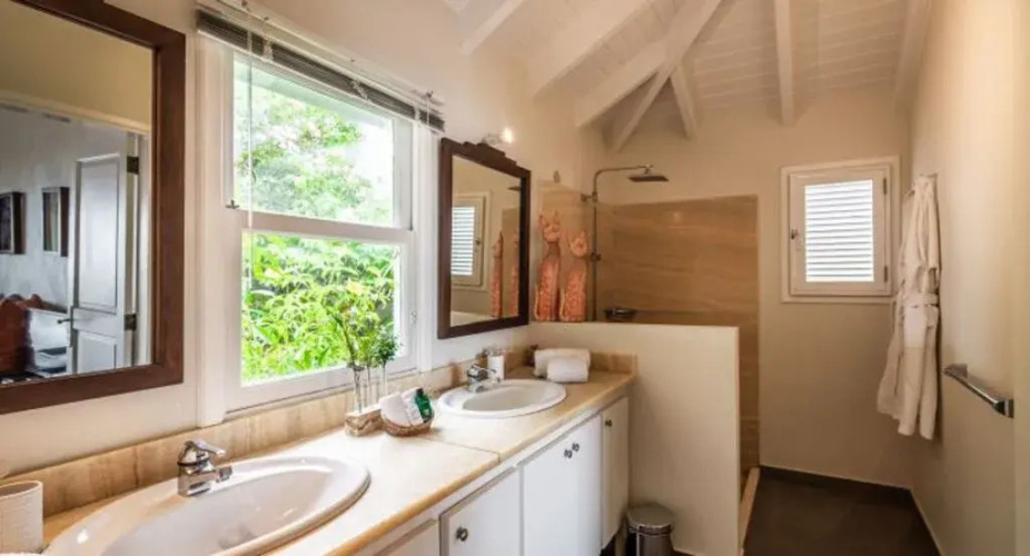 Dream Villa Petit Cul de Sac-2101