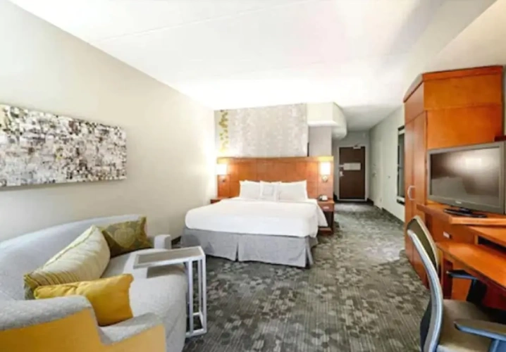 1 Bedroom Suite