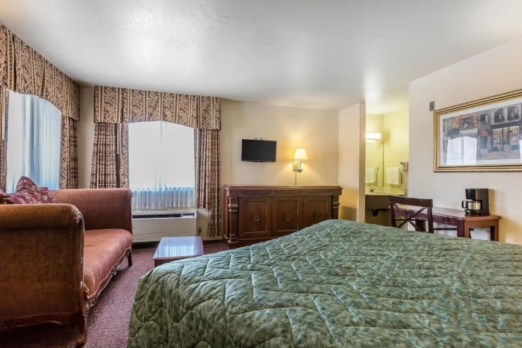 Standard Double room with pool view