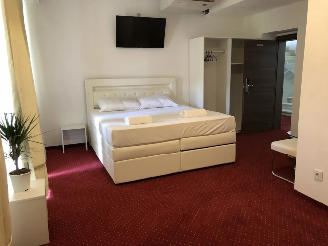 Standard Double room with balcony and with park view