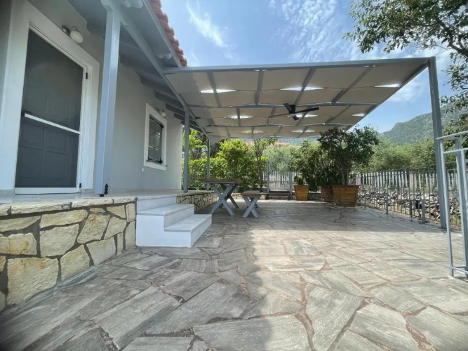 Aloni house