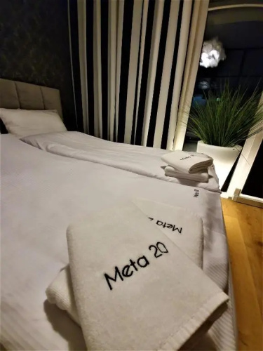 Meta 20